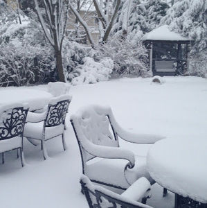 Meet your Posher, Noreen